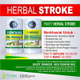 Illustration for article titled Obat Stroke Lumpuh Total